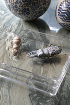 Charolas de Acrilico