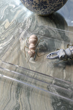 Charolas de Acrilico